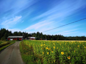 Maatilamatkailu Ilomäki